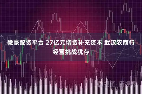 微豪配资平台 27亿元增资补充资本 武汉农商行经营挑战犹存