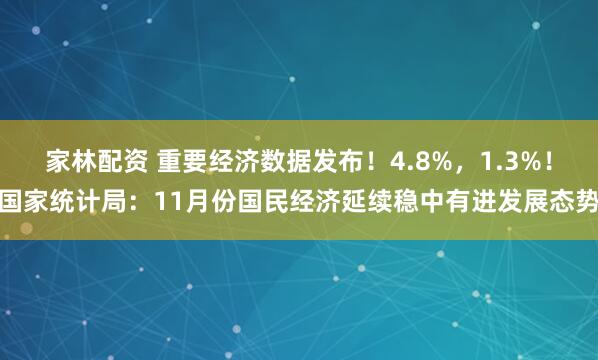 家林配资 重要经济数据发布！4.8%，1.3%！国家统计局：11月份国民经济延续稳中有进发展态势