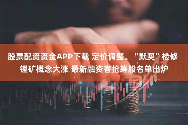 股票配资资金APP下载 定价调整、“默契”检修 锂矿概念大涨 最新融资客抢筹股名单出炉